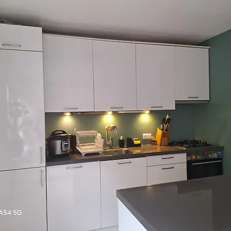 Large Family House In Tanthof, * 代夫特