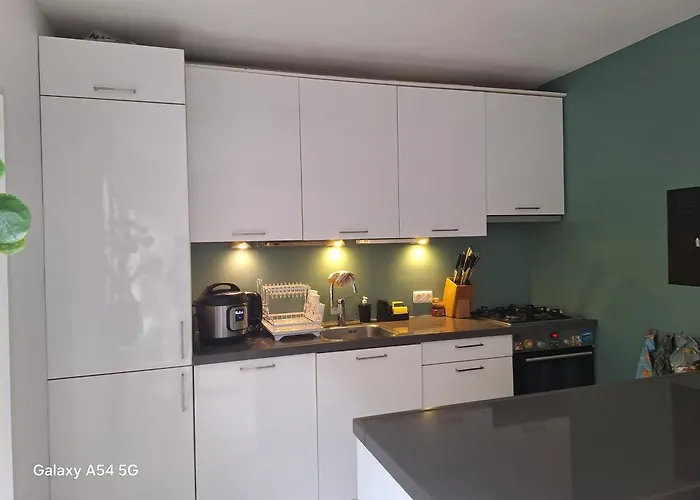 Large Family House In Tanthof, * Delft