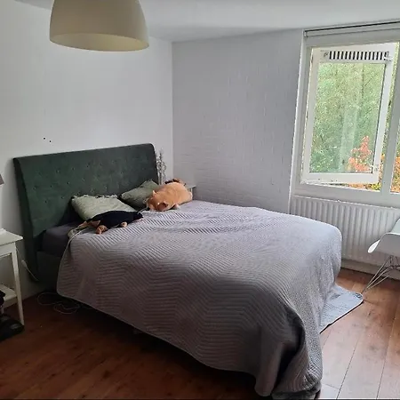 度假居 Large Family House In Tanthof, 代夫特