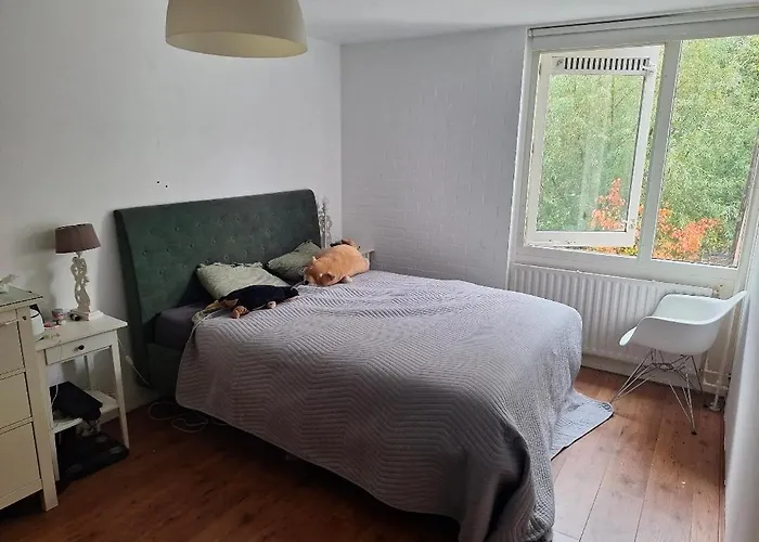 度假居 Large Family House In Tanthof, 代夫特